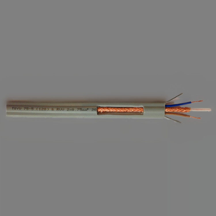 �������ҕ�l����TSYV������